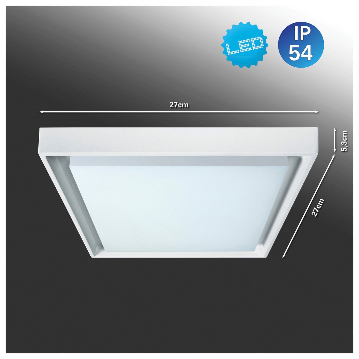 LED Buiten plafondlicht IP54 "MIO" S: 27cm