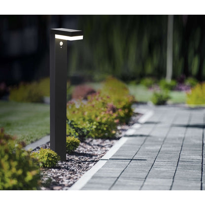 LED Solar Outdoor Base Light "Filius" H: 50 cm, gemaakt van metaal en plastic in antraciet, met geïntegreerde LED