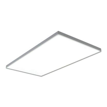 LED -paneel plafondlamp "Carente" lengte 59,5 cm, frameless, vele functies, gemaakt van metaal en plastic, witte, geïntegreerde LED's