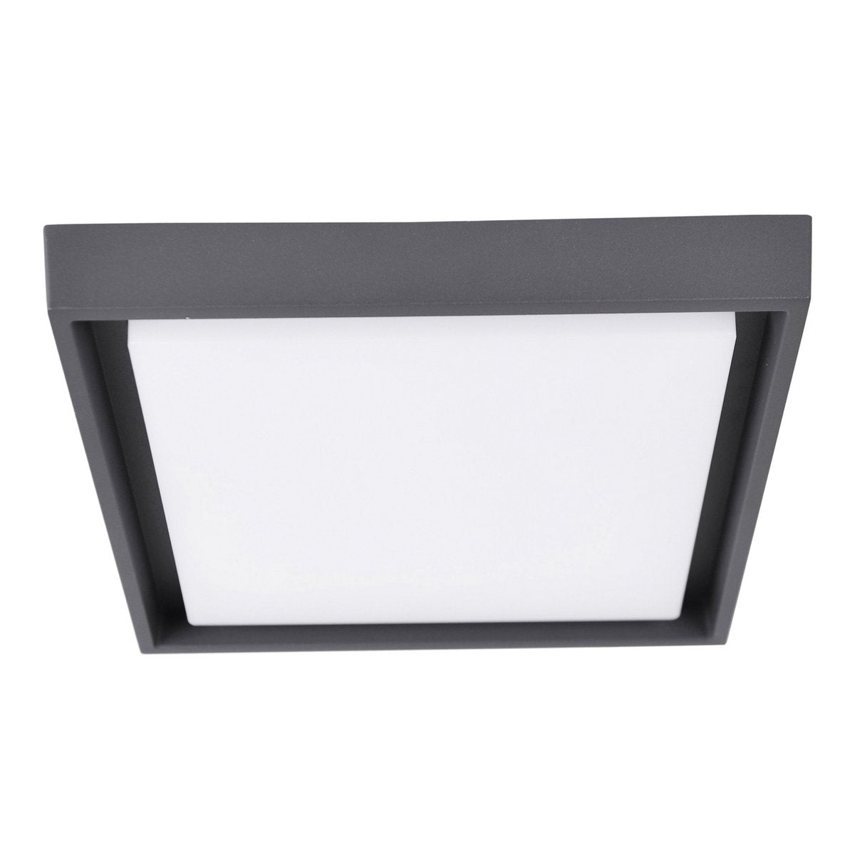 LED Buiten plafondlicht IP54 "MIO" S: 34 cm