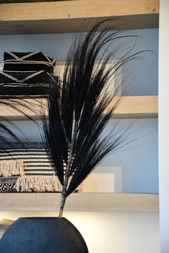 Hay pluim zwart bamboe gras