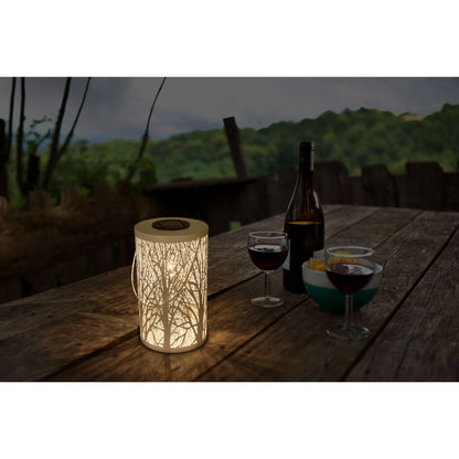 LED Decoratie Solar Light White