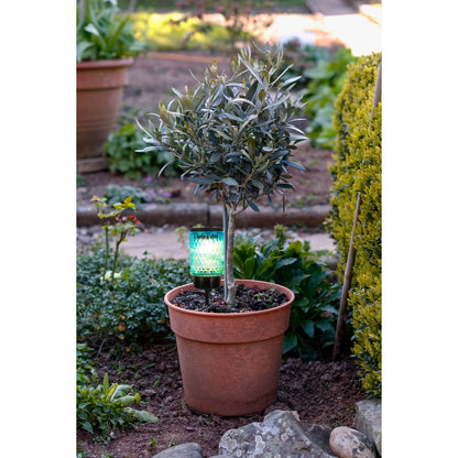 Zonne -decoratieve spiesjes "Mila" 2 set, Ø 8,3 cm, 25 cm hoog, zwart metaal, zwaar, gestructureerd glas in rood/geel en in blauw/groen, geïntegreerd LED, warm wit