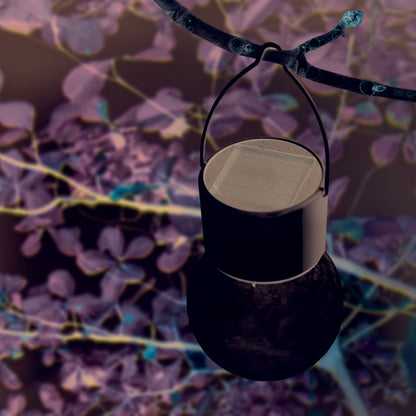 LED solarlamp CRACKLE (set van 6)