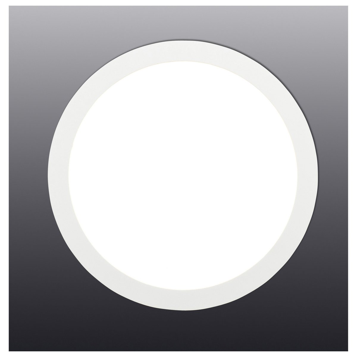 LED montagepaneel dimbaar "Dimplex" d:22,5