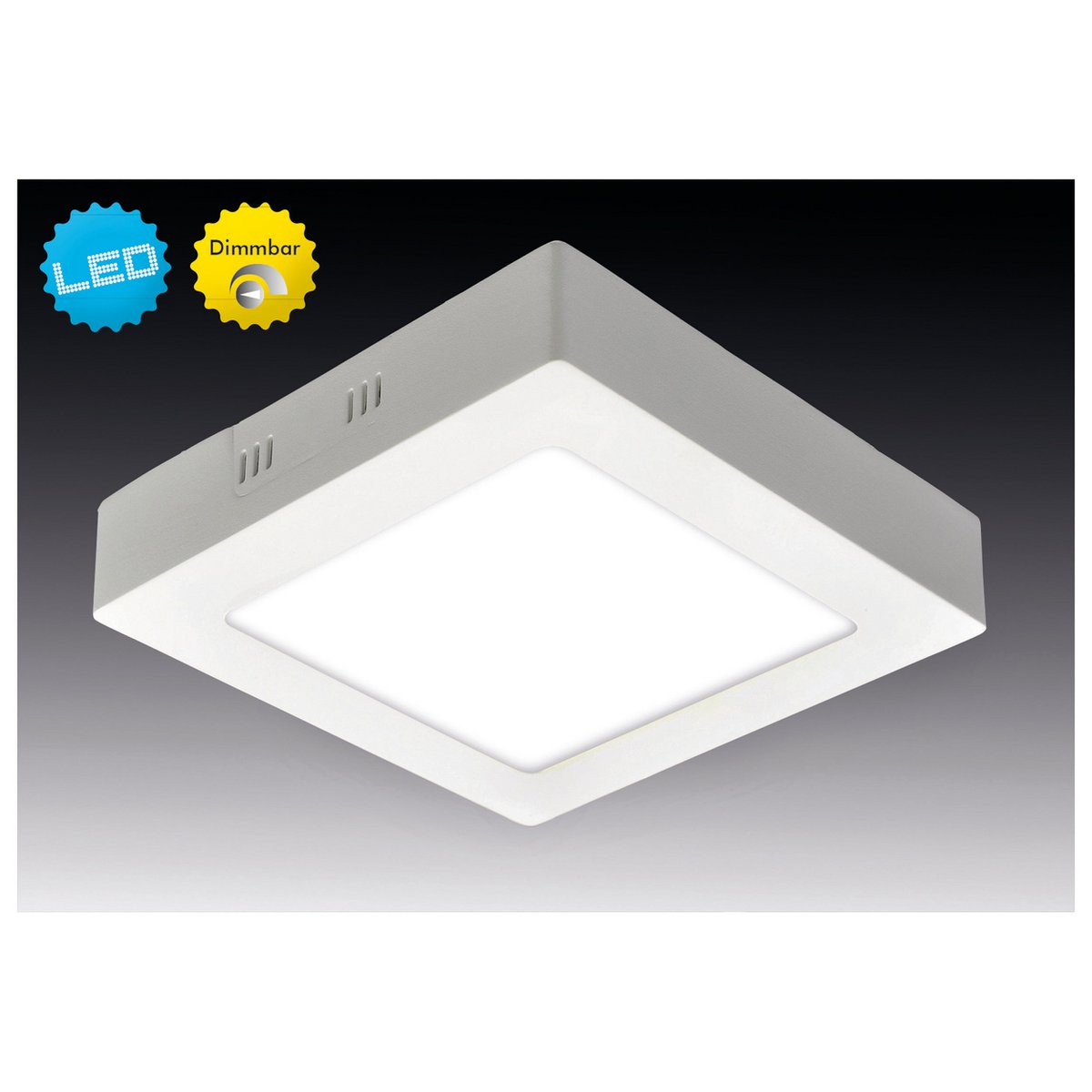 LED montagepaneel dimbaar "Dimplex" s:30cm
