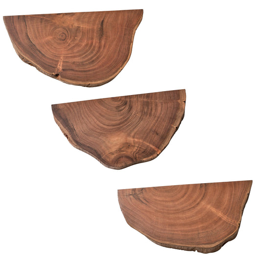 Wandplanken Set van 3 Acacia Massief Houten Hangplanken Boomschijf | Natuurlijke plantentrap voor aan de muur | Zwevende plank hangend met boomrand | Bloemtrap boomstam modern
