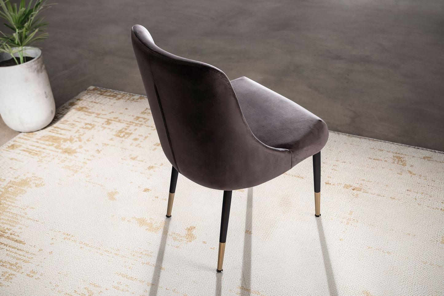 Eetkamerstoel fluweelgrijze keukenstoel met zwarte poten, schelpstoel modern, gestoffeerde stoel met stoffen bekleding, stoel bekleed met geïntegreerd rugkussen