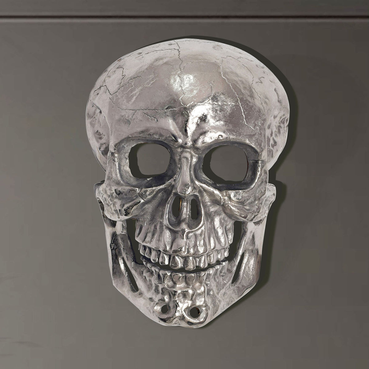 Wanddecoratie Schedel Aluminium Zilver 41 cm