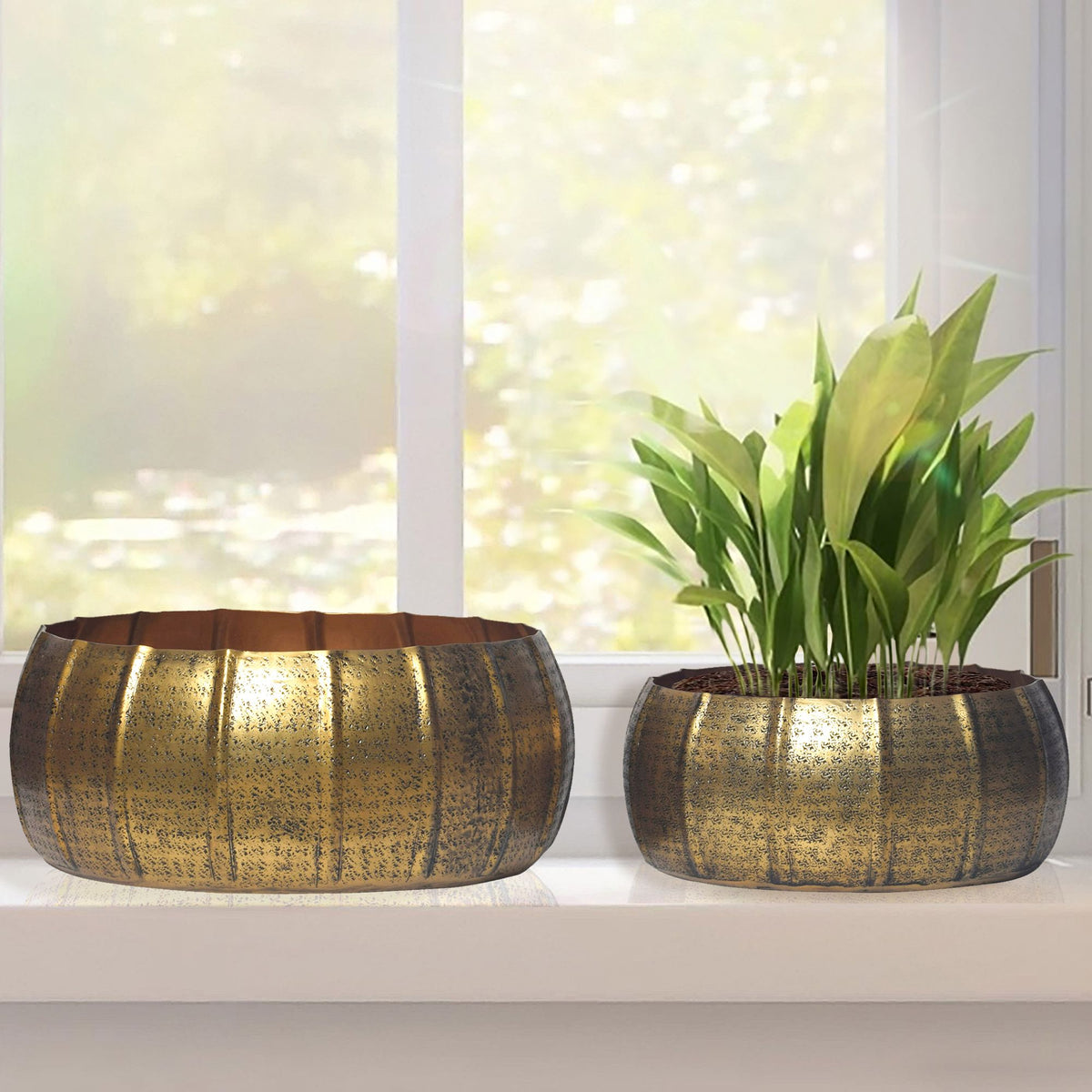 Plantenbakset van 2 metalen plantenbakken goud, design