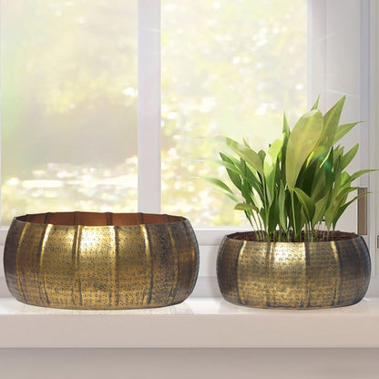 Plantenbakset van 2 metalen plantenbakken goud, design
