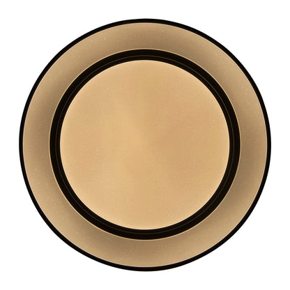 LED -plafondlamp "Monterey" Ø 37,5 cm, vele functies, gemaakt van metaal en plastic in het zwart, met geïntegreerde LED's, verlichting voor woonkamers, gang of kantoor