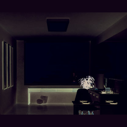 LED plafondlamp "Simplex" s: 22,5 cm