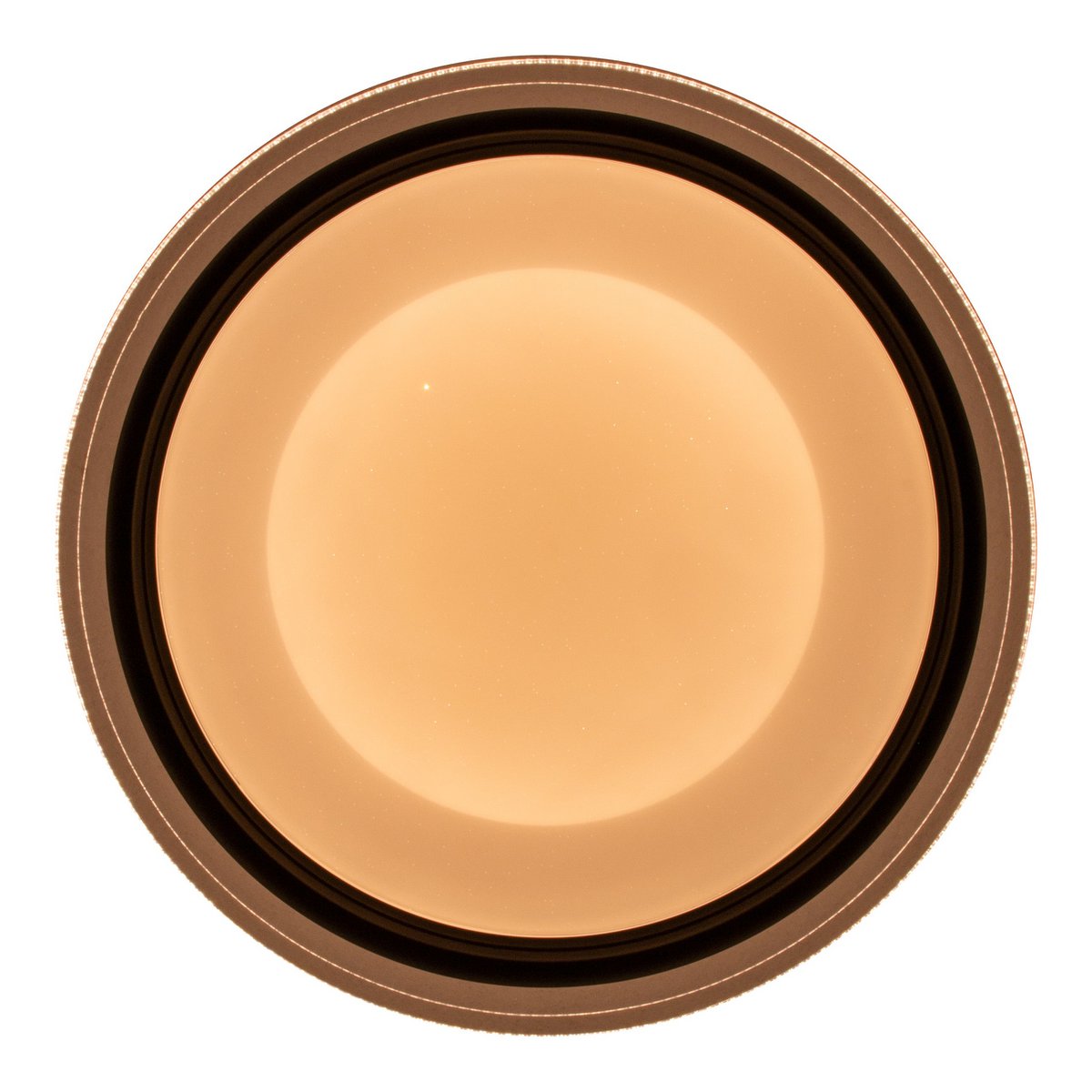 LED -plafondlicht "Canna" gemaakt van metaal en plastic, dimbaar met afstandsbediening, kleurverandering van warm wit naar koud wit naar kleurrijk, stevig ingebouwd -in LED's, plafondlamp voor woonkamer, eetkamer, keuken of gang met 45 cm diameter