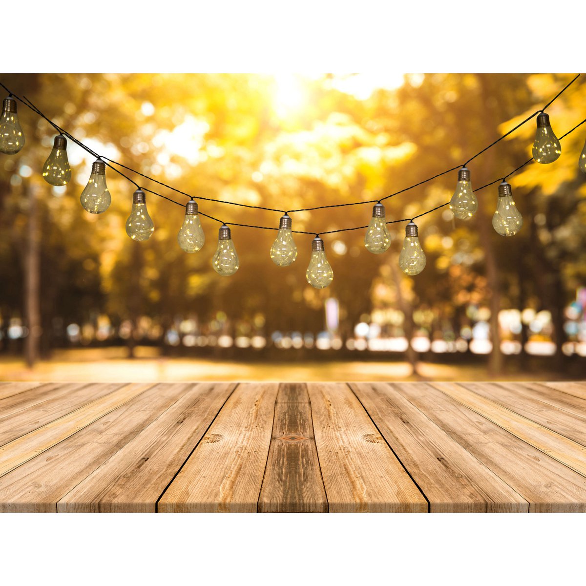 LED/zonne -lichte keten "gloeilamp", voor buiten, plastic lichte keten, helder/transparant, met geïntegreerde LED