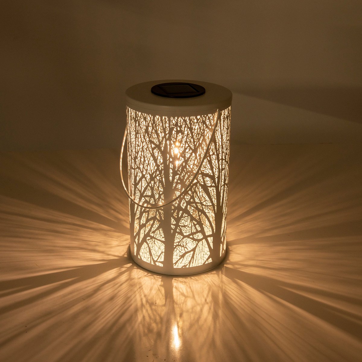 LED Decoratie Solar Light White