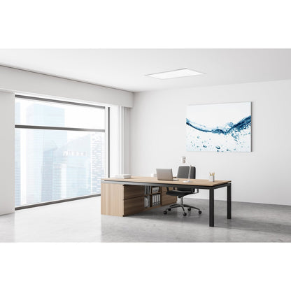 LED -assemblagepaneel "Nicola", montagelamp gemaakt van metaal en plastic met stevig ingebouwde LED's in neutraal wit, paneel voor interieurs 29,5 x59,5 cm