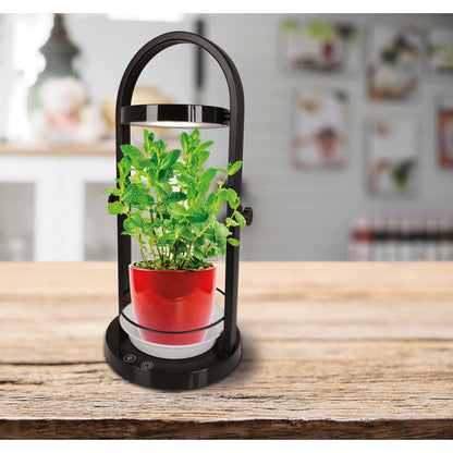 LED -plantentablet Licht 53,5 cm hoog, gemaakt van metaal en plastic in het zwart, met geïntegreerde LED