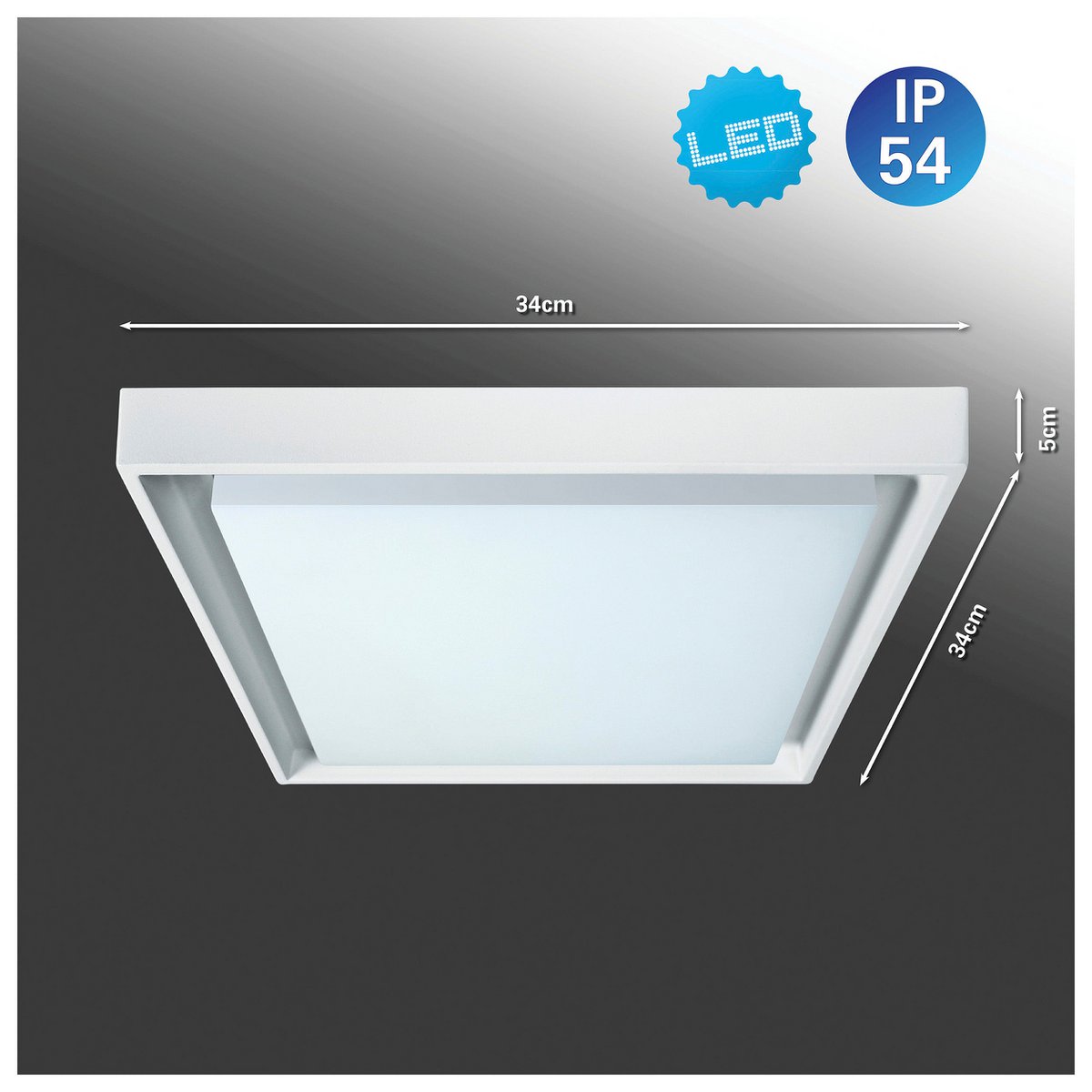 LED buiten wandlamp IP54 "Mio" s:34cm