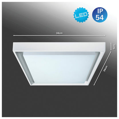LED buiten wandlamp IP54 "Mio" s:34cm